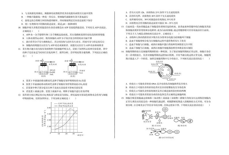 安徽省部分重点高中2024-2025学年高一下学期2月开学质量检测生物试题含答案第2页