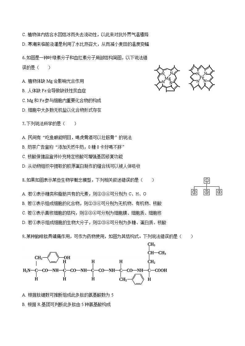 辽宁省沈阳市重点高中2024-2025学年高一上学期1月质量检测生物试题含答案第2页