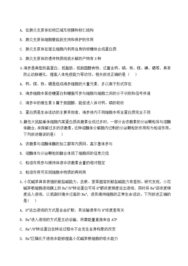 山东省部分重点高中2024-2025学年高一上学期12月联合考试生物试题含答案第3页