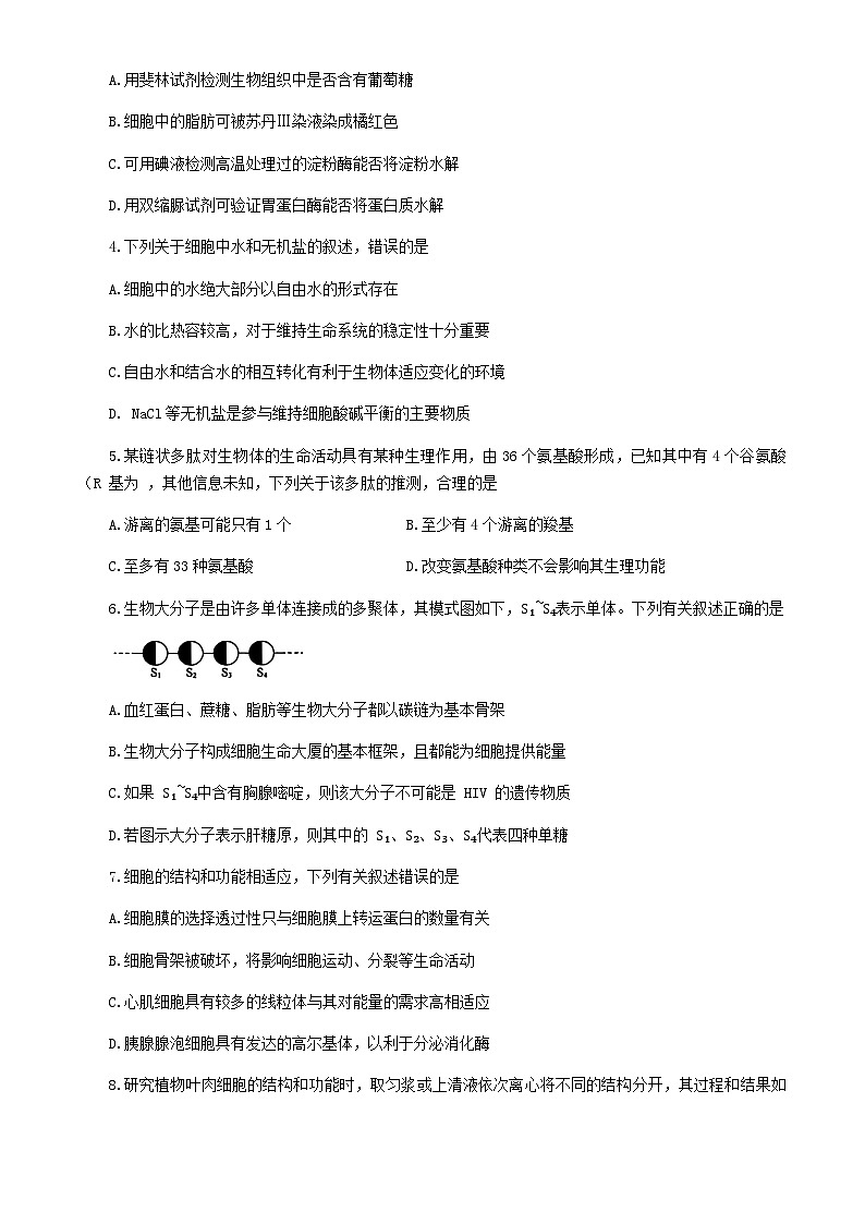 辽宁省部分重点高中2024-2025学年高一上学期12月月考生物试题含答案第2页