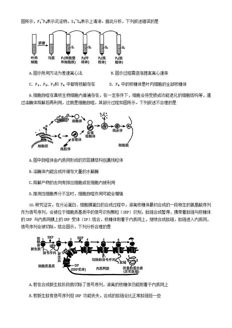 辽宁省部分重点高中2024-2025学年高一上学期12月月考生物试题含答案第3页