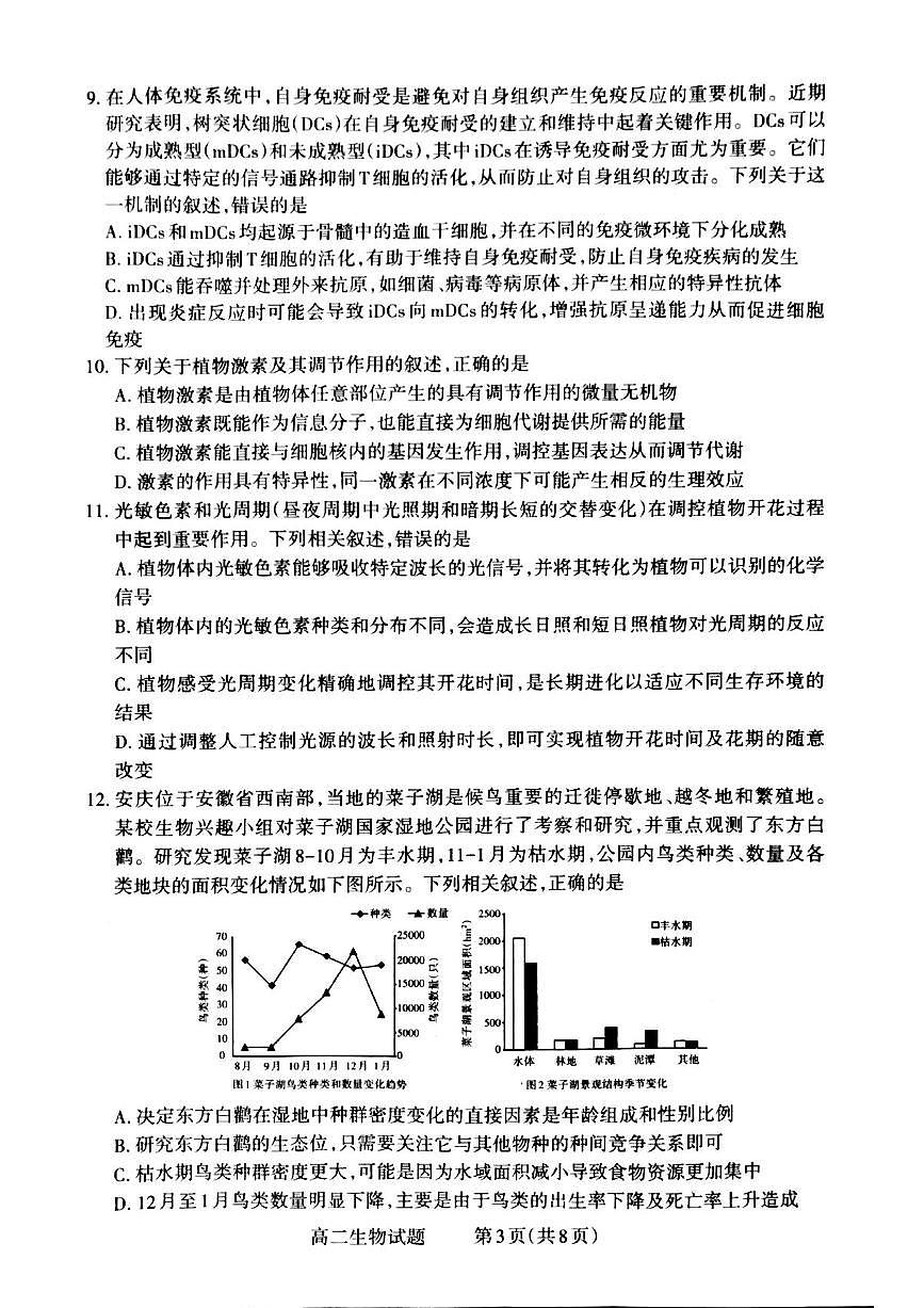 山西省晉城市2024-2025學(xué)年高二上學(xué)期12月月考試題生物試題含答案第3頁(yè)
