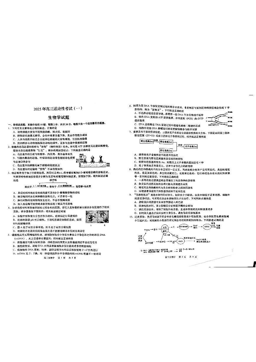 2025届江苏省南通如皋市高三下学期高考模拟1.5模-生物试题+答案第1页