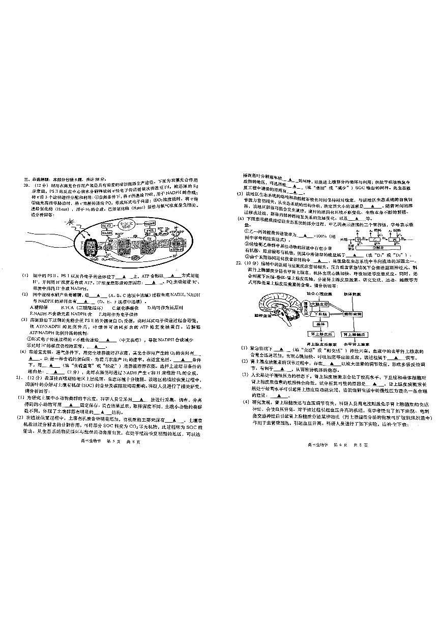 2025届江苏省南通如皋市高三下学期高考模拟1.5模-生物试题+答案第3页