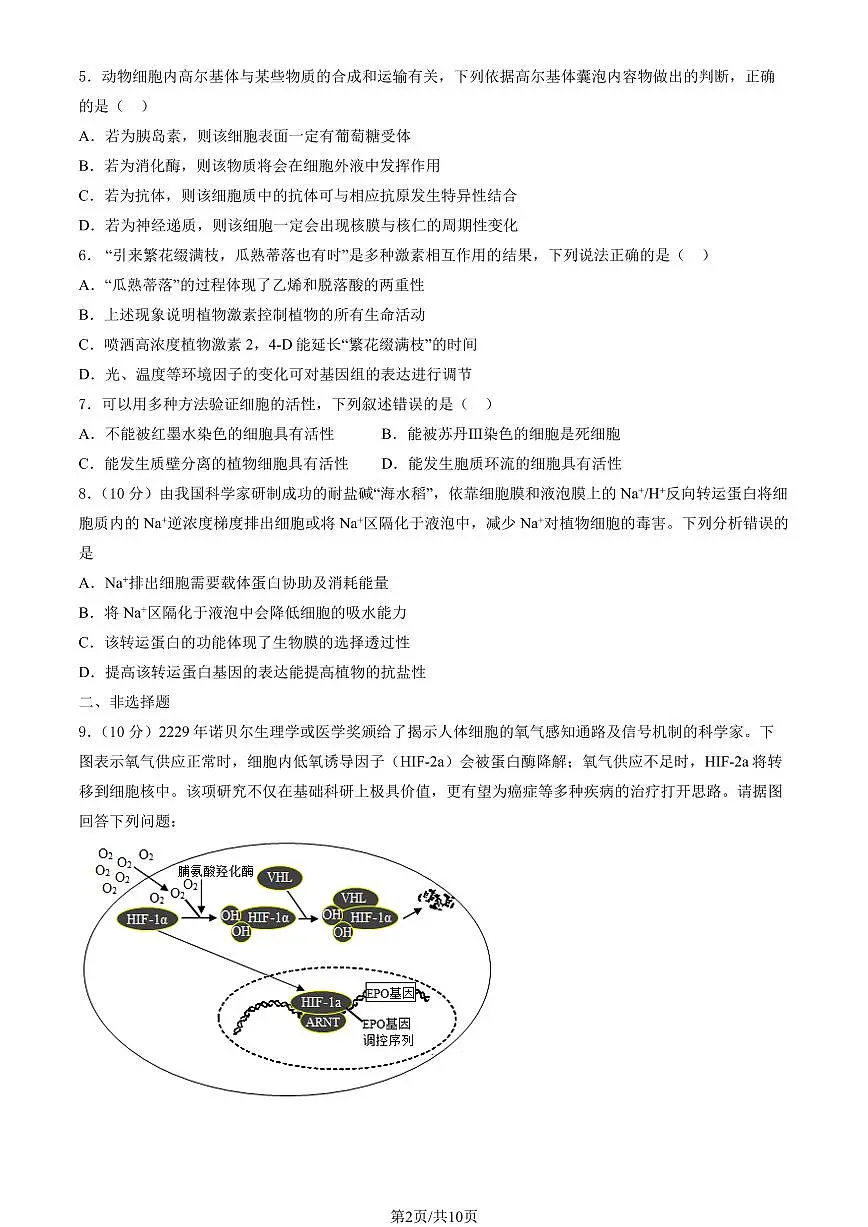 2025北京一零一中高三(上)期末生物试卷(有答案)第2页