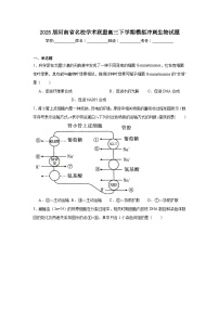 2025届河南省名校学术联盟高三下学期模拟冲刺生物试题