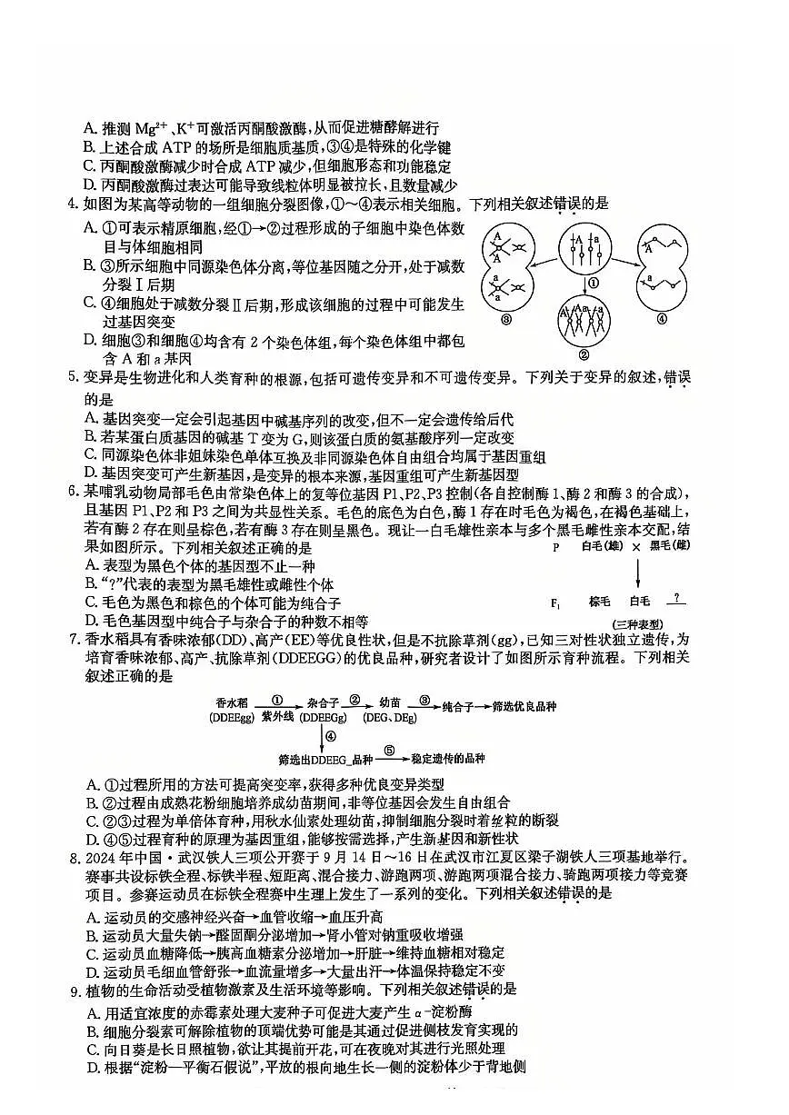 生物-湖北省黄冈市2025届高三下学期2月核心预测卷第2页