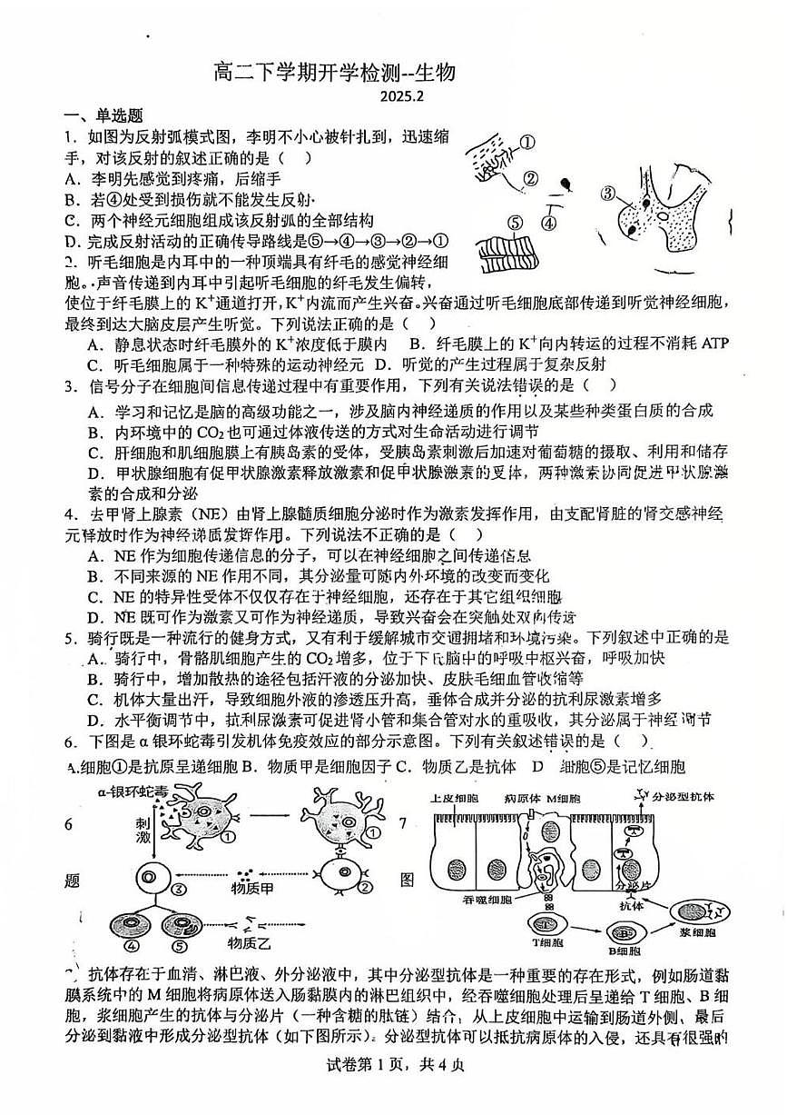 2025北京平谷中学高二(下)开学考生物第1页