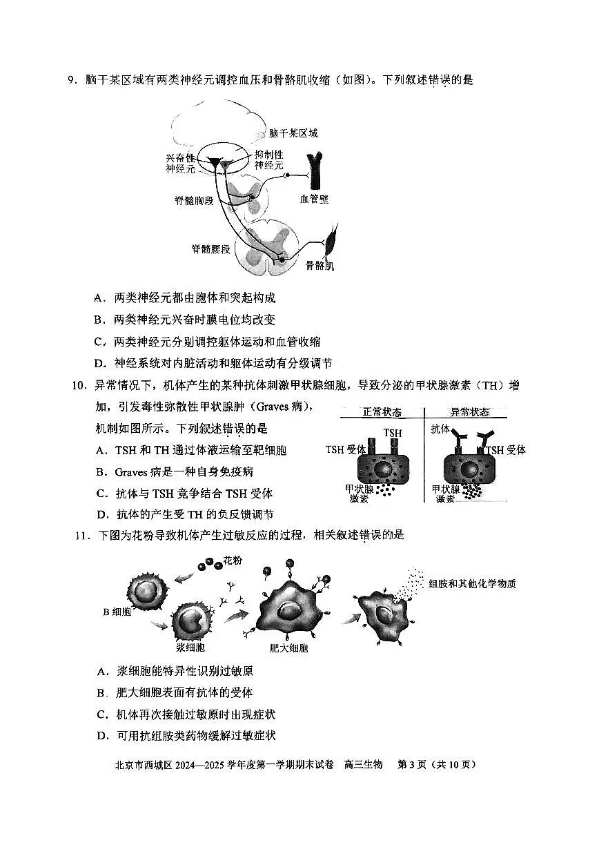 2025北京西城高三(上)期末生物试卷(有答案)第3页
