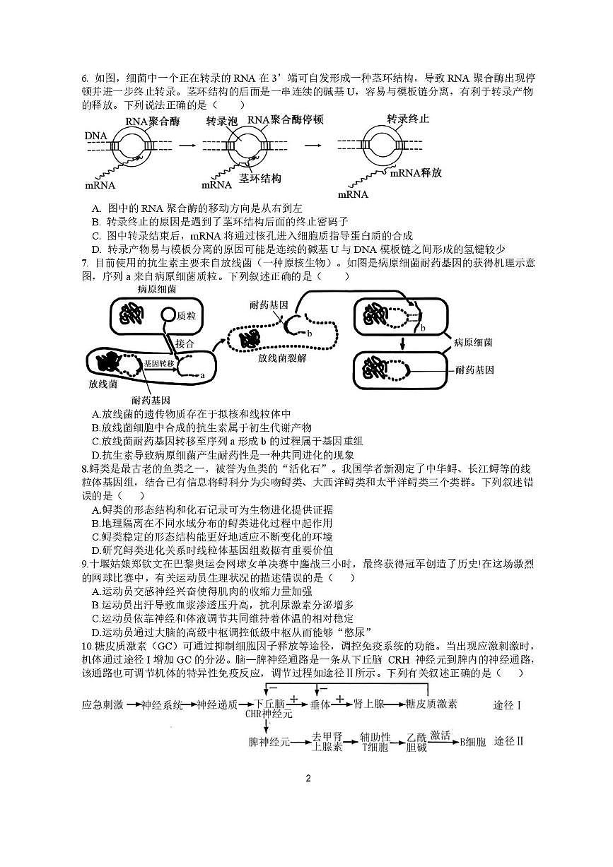江苏省高邮市2024-2025学年高三下学期高考第一次联考生物试题(含答案)第2页