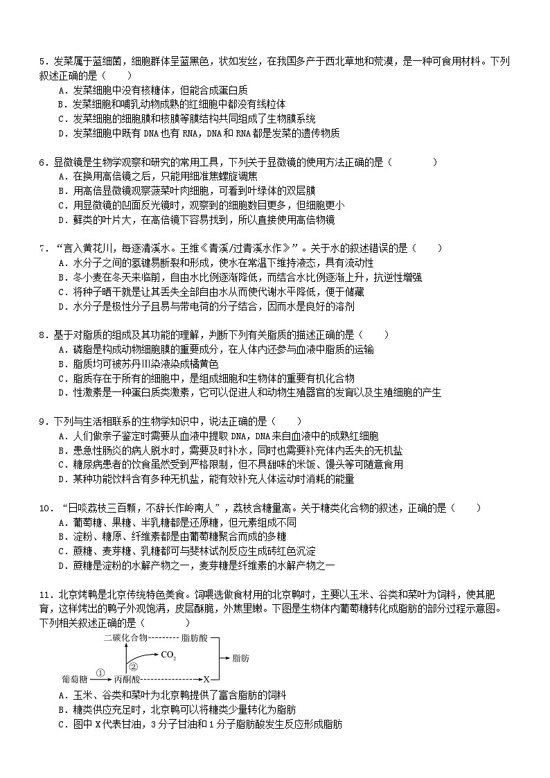 广东省佛山市S6高质量发展联盟2024-2025学年高一上学期期中联考生物试卷第2页