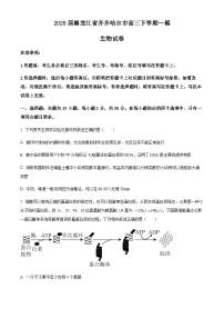 2025届黑龙江省齐齐哈尔市高三下学期高考一模生物学试题（含答案）