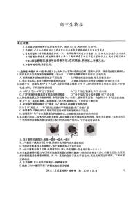 2025九师联盟高三下学期2月质量检测（2.27-2.28）生物PDF版含解析