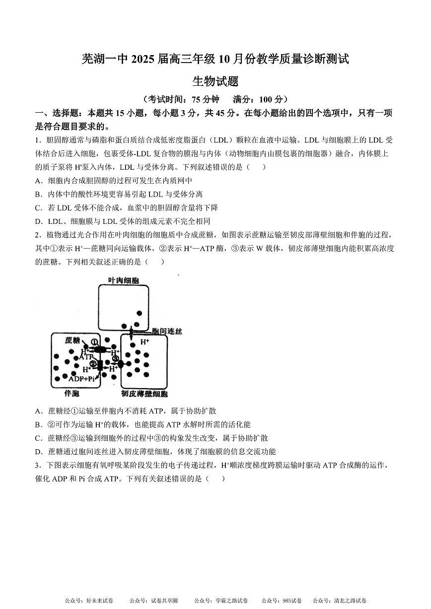 安徽省芜湖市第一中学2024-2025 学年高三上学期10月份教学质量诊断测试生物试卷+答案第1页