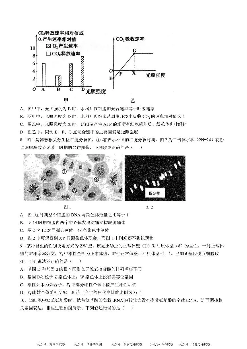 安徽省芜湖市第一中学2024-2025 学年高三上学期10月份教学质量诊断测试生物试卷+答案第3页