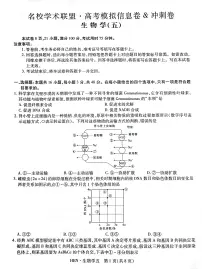 河南省名校学术联盟2025届高三下学期模拟冲刺(五)生物试题(PDF版附解析)