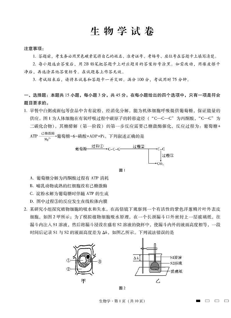 重庆市第八中学2025届高三2月适应性月考卷(五)生物第1页