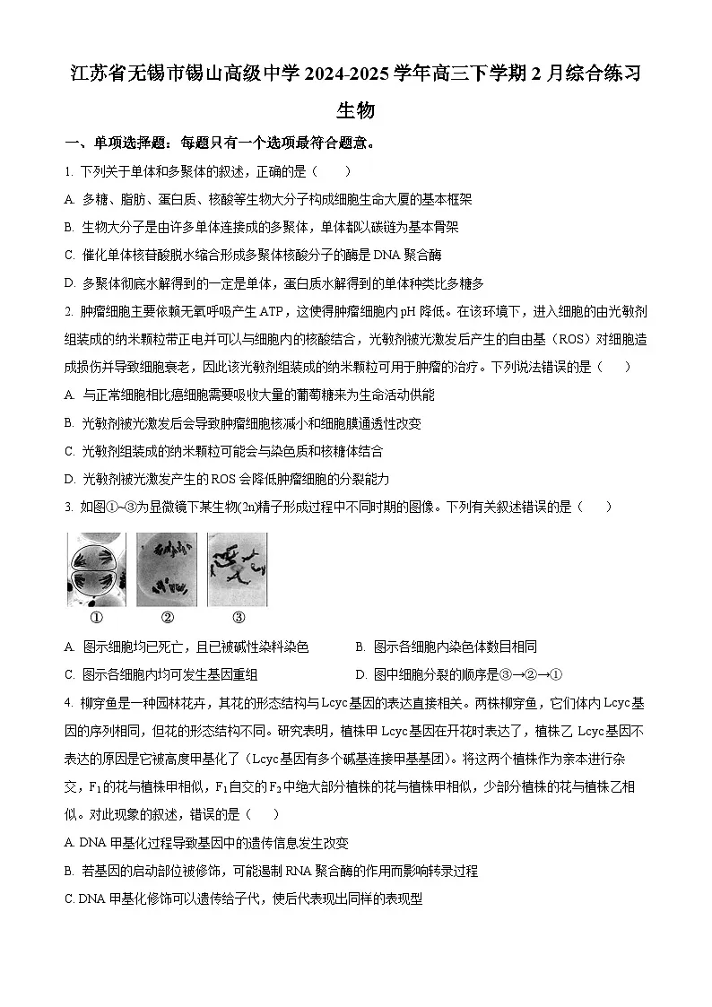江苏省锡山高级中学2024-2025学年高三下学期2月综合练习生物第1页