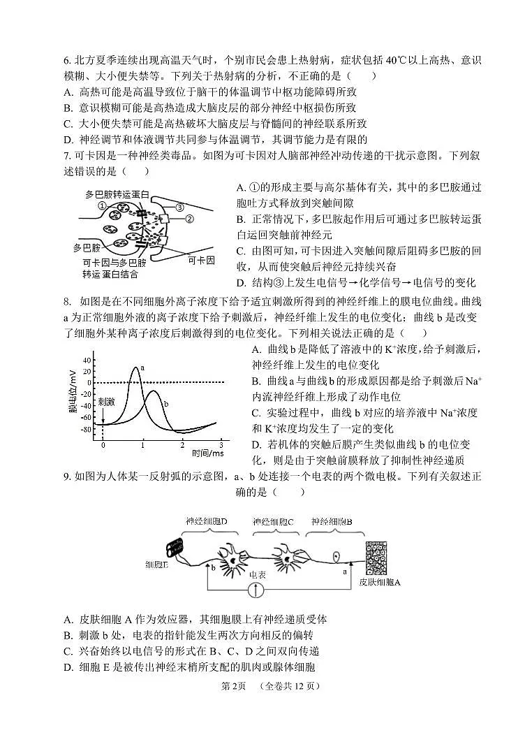 2024北京八一学校高二(上)期中生物试卷(有答案)第2页