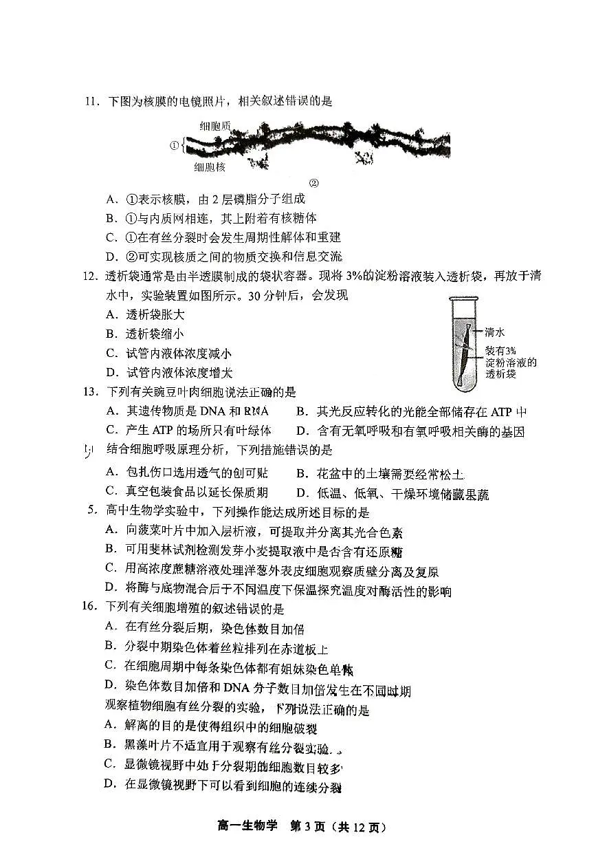 2025北京丰台高一(上)期末生物试卷(有答案)第3页
