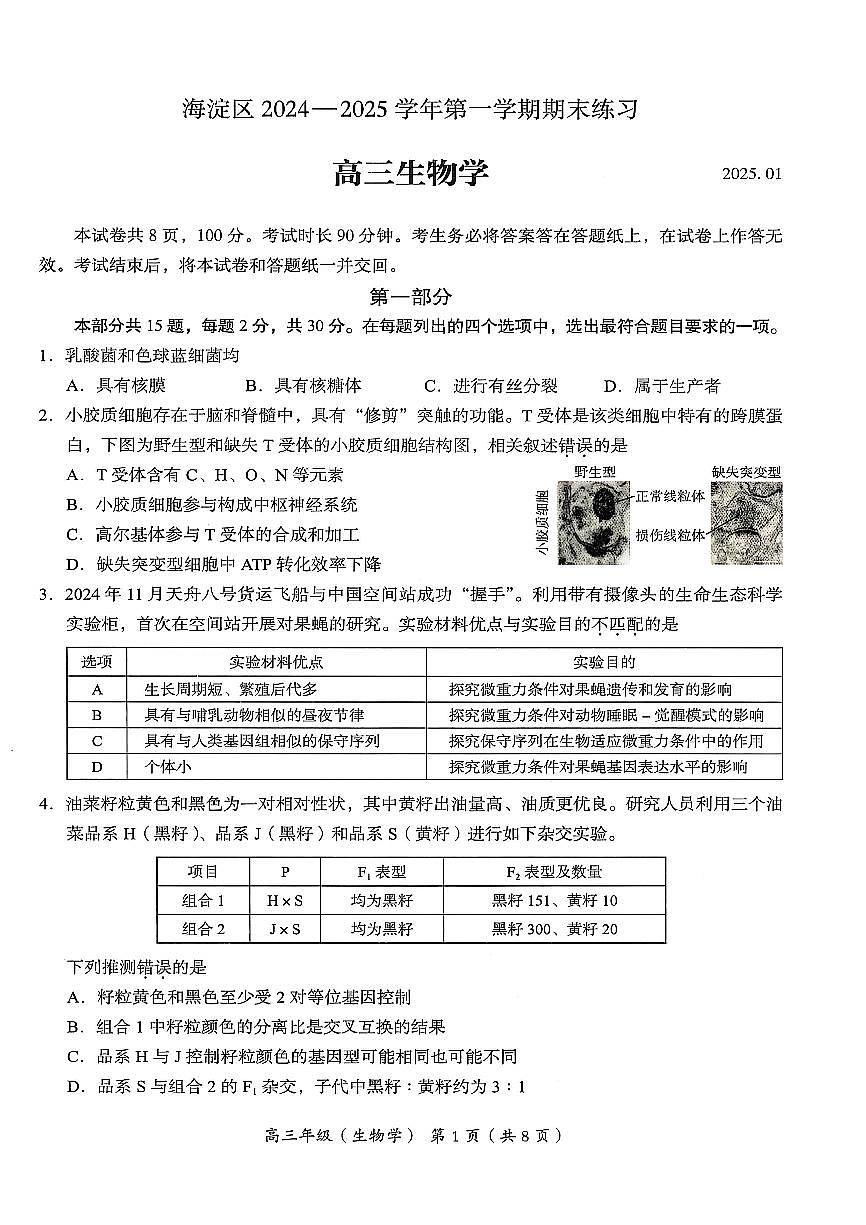2025北京海淀高三(上)期末生物试卷(无答案)第1页