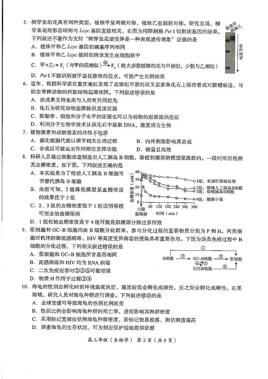 2025北京海淀高三(上)期末生物试卷(无答案)第2页