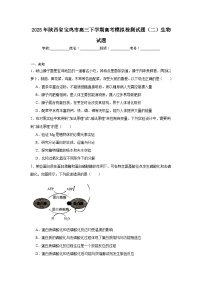 2025年陕西省宝鸡市高三下学期高考模拟检测试题（二）生物试题