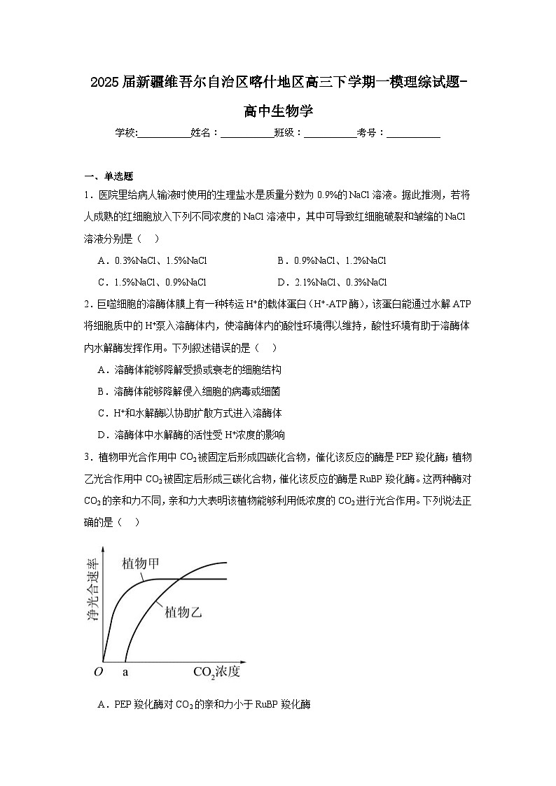 2025届新疆维吾尔自治区喀什地区高三下学期一模理综试题-高中生物学第1页