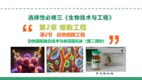 高中生物人教版 (2019)选择性必修3二 动物细胞融合技术与单克隆抗体教学课件ppt