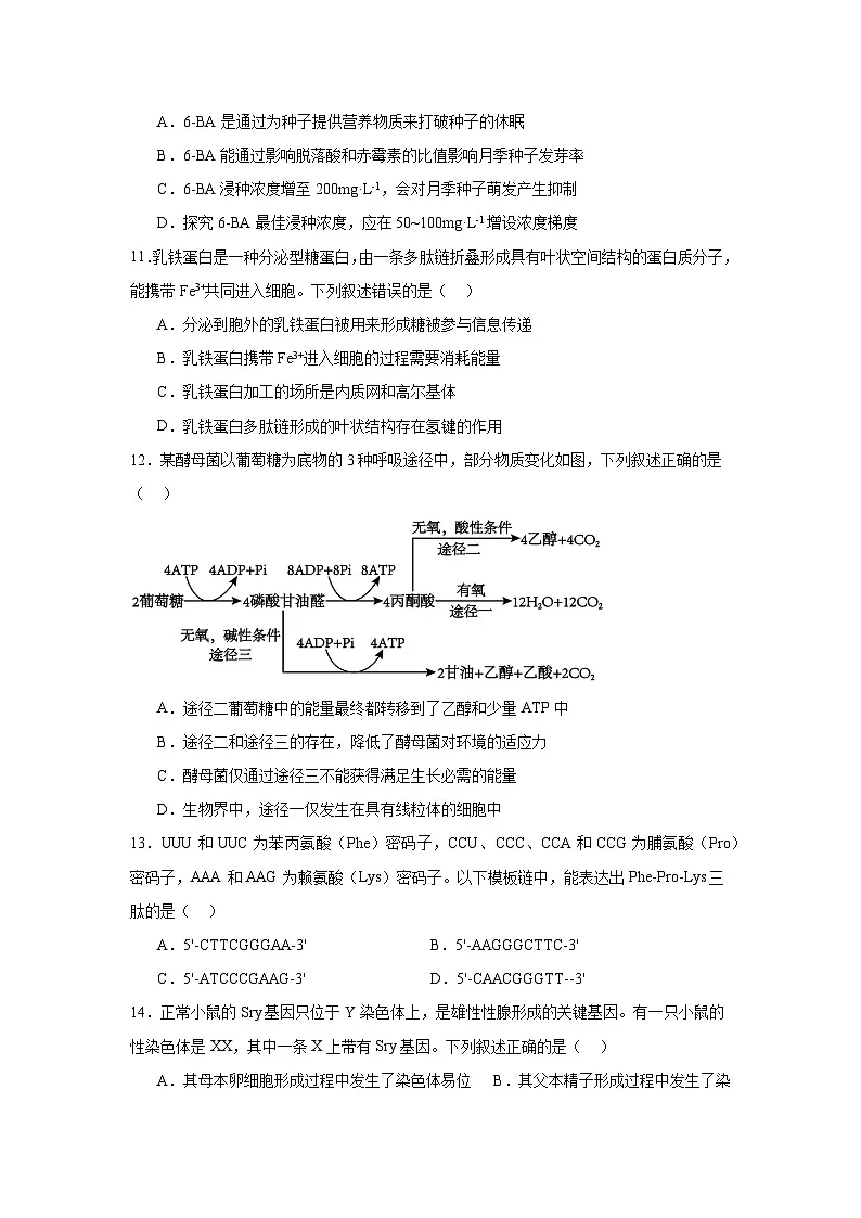 2025普通高校招生适应性测试内蒙古生物卷(八省联考)第3页