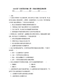 2025届广东省茂名市高三第一次综合测试生物试卷