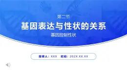 人教版2025高中生物必修二4.2基因表达与性状的关系 课件