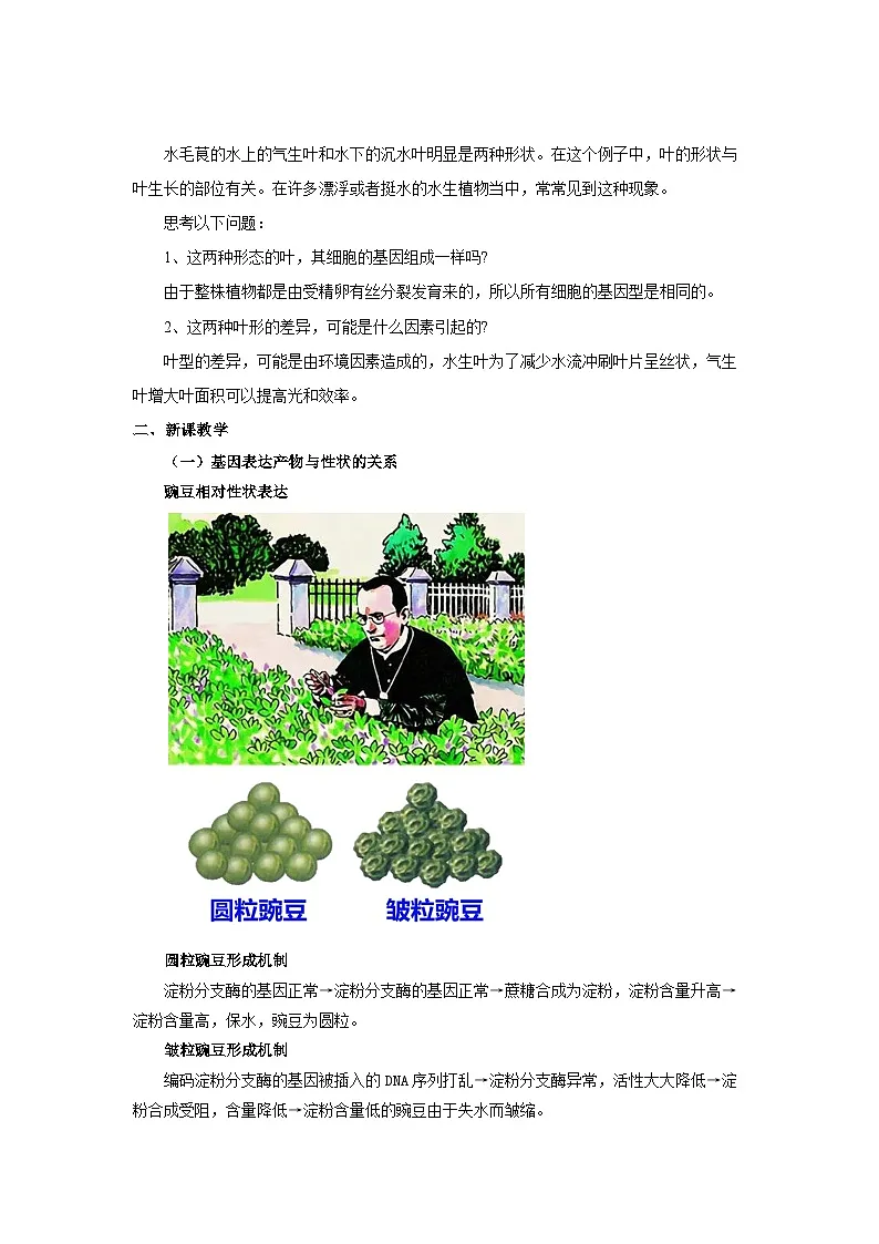 人教版2025高中生物必修二4.2基因表达与性状的关系() 教案第2页