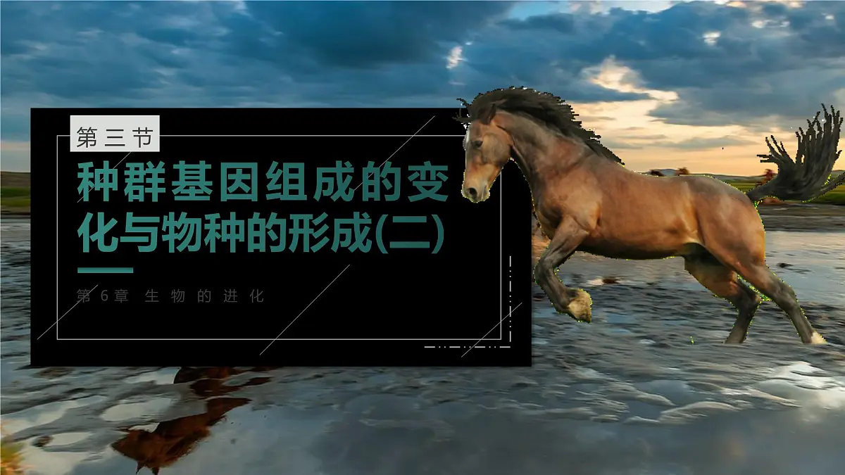 人教版2025高中生物必修二6.3种群基因组成的变化与物种的形成(二) 课件第1页