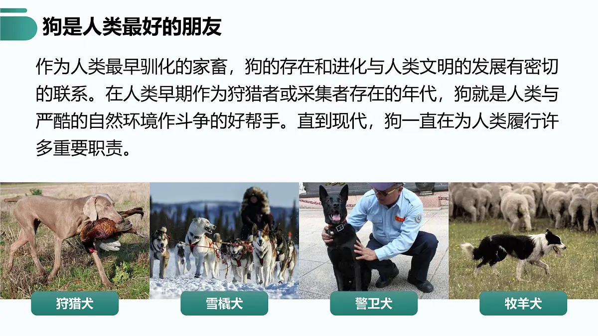 人教版2025高中生物必修二6.3种群基因组成的变化与物种的形成(二) 课件第4页