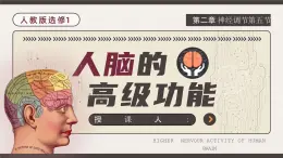 人教版2025高中生物選擇性必修一2.5人腦的高級功能課件