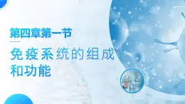 人教版2025高中生物選擇性必修一4.1 免疫系統(tǒng)的組成和功能課件