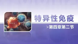 人教版2025高中生物選擇性必修一4.2 特異性免疫課件
