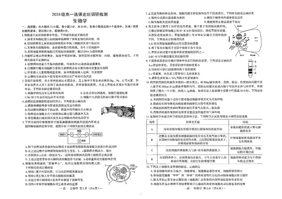 江西省南昌市2024-2025学年高一上学期1月期末生物试题第1页