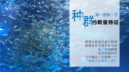 人教版2025高中生物選擇性必修二1.1 種群的數(shù)量特征 課件