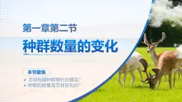 人教版2025高中生物選擇性必修二1.2 種群數(shù)量的變化 課件