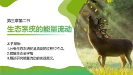 人教版2025高中生物選擇性必修二3.2 生態(tài)系統(tǒng)的能量流動 課件