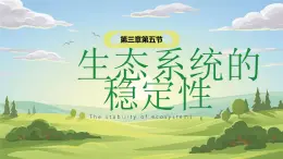 人教版2025高中生物選擇性必修二3.5 生態(tài)系統(tǒng)的穩(wěn)定性 課件