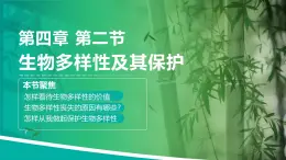人教版2025高中生物選擇性必修二4.2 《生物多樣性及其保護(hù)》 課件