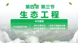 人教版2025高中生物選擇性必修二4.3 《生態(tài)工程》 課件