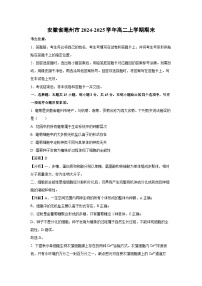 2024-2025学年安徽省亳州市高二上学期期末生物试卷（解析版）