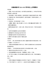 2024-2025学年安徽省亳州市高二上学期期末生物试卷（解析版）