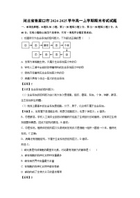 2024-2025学年河北省张家口市高一上学期期末考试生物试卷（解析版）
