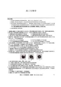 生物丨九师联盟2025高三下学期2月质量检测生物试卷及答案