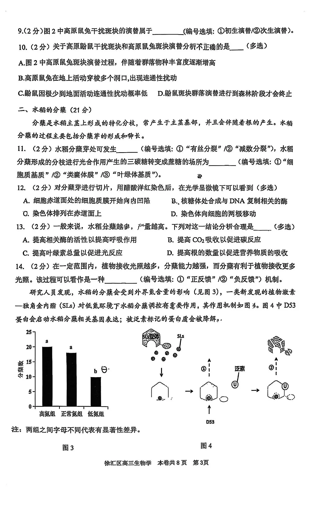 2025届上海市徐汇区高三一模 学习能力诊断生物试题及答案第3页